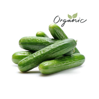 Organic Cucumber UAE 500g