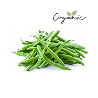 Organic Beans Green India 500g