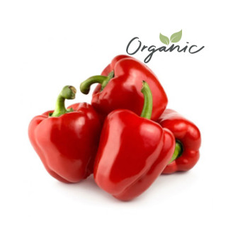 Organic Capsicum Red India 500g